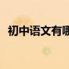 初中語文有哪些學習技巧？如何提高成績？