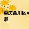 重慶合川區可提供東菱電烤箱維修服務地址在哪
