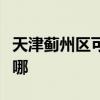 天津薊州區可提供奔騰電烤箱維修服務地址在哪