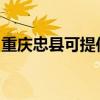 重慶忠縣可提供燦坤電烤箱維修服務地址在哪