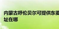 內蒙古呼倫貝爾可提供東菱電烤箱維修服務地址在哪