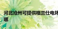 河北滄州可提供格蘭仕電烤箱維修服務地址在哪