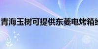 青海玉樹可提供東菱電烤箱維修服務地址在哪