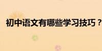 初中語文有哪些學習技巧?如何提高成績?