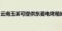 云南玉溪可提供東菱電烤箱維修服務地址在哪
