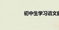 初中生學習語文的途徑