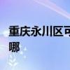 重慶永川區可提供德意電烤箱維修服務地址在哪