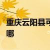 重慶云陽縣可提供北鼎電烤箱維修服務地址在哪
