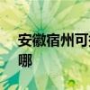 安徽宿州可提供SKG電烤箱維修服務地址在哪