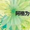 阿格為什么火 阿格為什么退役 