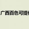 廣西百色可提供德意電烤箱維修服務地址在哪