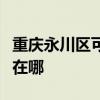 重慶永川區可提供飛利浦電烤箱維修服務地址在哪