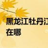 黑龍江牡丹江可提供德意電烤箱維修服務地址在哪