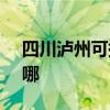 四川瀘州可提供SKG電烤箱維修服務地址在哪