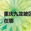 重慶九龍坡區可提供東菱面包機維修服務地址在哪