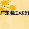 廣東湛江可提供東菱面包機維修服務地址在哪