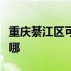 重慶綦江區可提供東菱面包機維修服務地址在哪