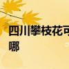 四川攀枝花可提供東菱面包機維修服務地址在哪
