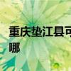 重慶墊江縣可提供德意電烤箱維修服務地址在哪