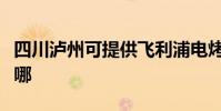 四川瀘州可提供飛利浦電烤箱維修服務地址在哪