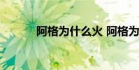 阿格為什么火 阿格為什么退役