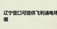 遼寧營口可提供飛利浦電烤箱維修服務地址在哪