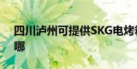 四川瀘州可提供SKG電烤箱維修服務地址在哪