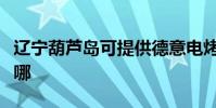 遼寧葫蘆島可提供德意電烤箱維修服務地址在哪