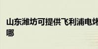 山東濰坊可提供飛利浦電烤箱維修服務地址在哪