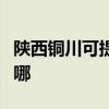 陜西銅川可提供澳柯瑪面包機維修服務地址在哪