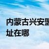 內蒙古興安盟可提供澳柯瑪面包機維修服務地址在哪