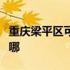 重慶梁平區可提供小熊面包機維修服務地址在哪
