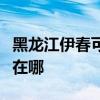 黑龍江伊春可提供澳柯瑪面包機維修服務地址在哪