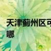 天津薊州區可提供小熊面包機維修服務地址在哪