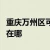 重慶萬州區可提供飛利浦面包機維修服務地址在哪