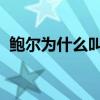 鮑爾為什么叫球哥 為什么朗佐 鮑爾叫球哥 