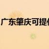 廣東肇慶可提供天際面包機維修服務地址在哪