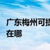 廣東梅州可提供伊萊克斯面包機維修服務地址在哪