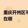 重慶開州區可提供澳柯瑪面包機維修服務地址在哪