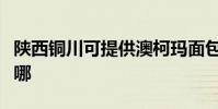 陜西銅川可提供澳柯瑪面包機維修服務地址在哪