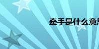 牽手是什么意思?