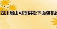 四川眉山可提供松下面包機維修服務地址在哪