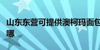 山東東營可提供澳柯瑪面包機維修服務地址在哪