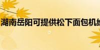 湖南岳陽可提供松下面包機維修服務地址在哪