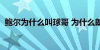鮑爾為什么叫球哥 為什么朗佐 鮑爾叫球哥