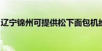 遼寧錦州可提供松下面包機維修服務地址在哪