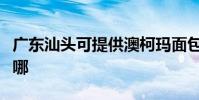 廣東汕頭可提供澳柯瑪面包機維修服務地址在哪