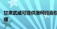 甘肅武威可提供澳柯瑪面包機維修服務地址在哪