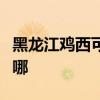 黑龍江雞西可提供紅心加濕器維修服務地址在哪