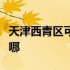 天津西青區可提供龍的加濕器維修服務地址在哪